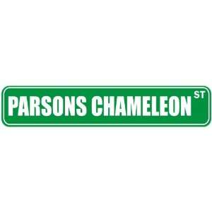   PARSONS CHAMELEON ST  STREET SIGN