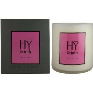   Botanicals AB Home Soy Candles Hyacinth (Discontinued) Beauty