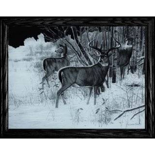   Fisher THREE DEERS ~ High Definition Acid Etched Glass Decor Frame