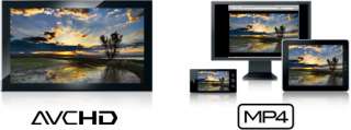 Canon Vixia HF R300 Flash Memory 1080p HD Digital Video Camera 