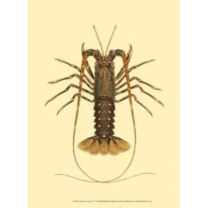  Antique Lobster IV   Poster by James Sowerby (10x13)