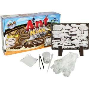  Ant Farm   Toy Ant Mine Toys & Games