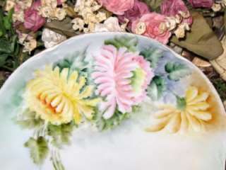 Lovely hand painted fine porcelain plate beautifully detailed