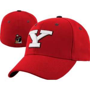  Youngstown State Penguins Team Color Top of the World Flex 
