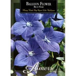  Aimers 3173 Balloon Flower Blue Star Seed Packet Patio 