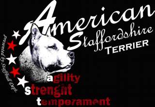 Standard Bullterrier / American Staffordshire Terrier / Staffordshire 