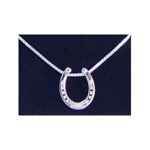  Horseshoe Slide Necklace 