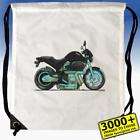 buell bags  