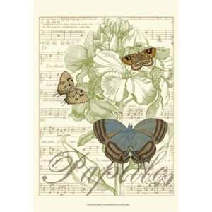  Papillon Melange I   Poster by Vision studio (13x19)