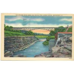   River Gorge and Driving Park Avenue Bridge   Rochester New York