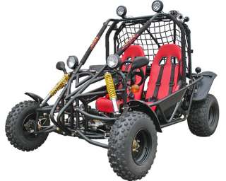 NEW 150cc 2 Seater KING SIZE Go Kart Dune Buggy for 13+  