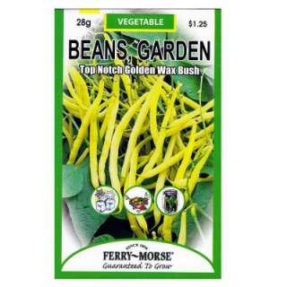   Top Notch Golden Wax Bush Garden Beans Seed 1915 