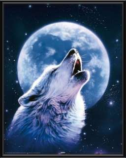 Poster mit Rahmen 40 x 50 cm, Schwarz   Howling Wolf   Heulender Wolf 