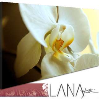 Lana KK Bild Bilder Blumen Kunstdruck Dream Orchidee XS  