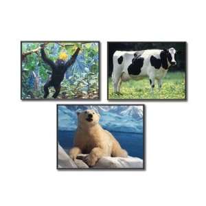  Carson Dellosa Publications KE 845011 Favorite Animals 