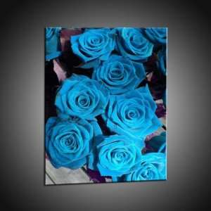 Kunstdruck Schöne hellblaue Rosen Bilder auf Leinwand in 60x80 cm 