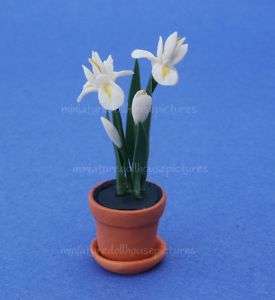Miniature Dollhouse White Iris Plants Flowers New  