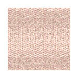  Anna Griffin Paper 12x 12 Carmen Honeycomb Pink/Green 