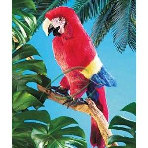  Macaw, Scarlet Hand Puppets