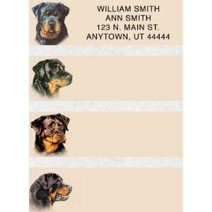  Rottweiler Set of 150 Address Labels