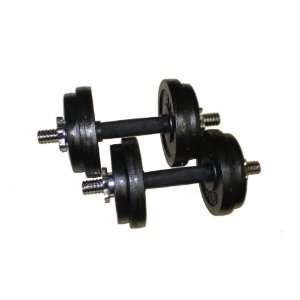 60 lbs Adjustable Cast Iron Dumbbells with Solid Dumbbells Handles 