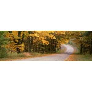  Country Road Passes through a Forest, Empire, Michigan 