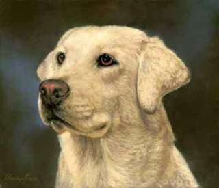 Yellow Lab pastel on paper by Charleyn Moore