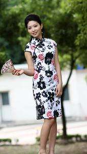 Charming Traditional Chinese Womens Cheong sam Dress Size S 2XL 