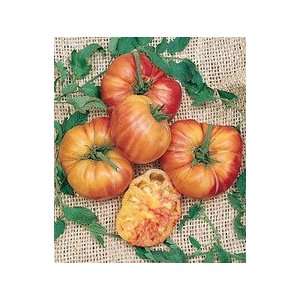  Mr Stripey Tomato Seeds 20+ Big Juicy Beefsteak 1lb Fruit 