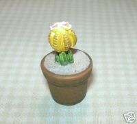Miniature Cactus Plant, Yellow/White Blooms DOLLHOUSE  