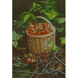  Bob Timberlake   Strawberries