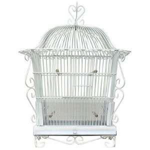  Canary Cage with Scroll Deco