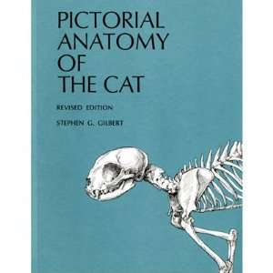 Nasco   Pictorial Anatomy of the Cat  Industrial 