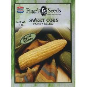  Corn Honey Select (Triple Sweet Yellow) Patio, Lawn 