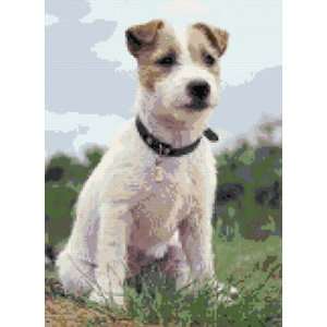    A Proud Jack Russell Counted Cross Stitch Kit 