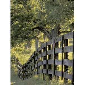  Fence at Sunrise, Bluegrass Region, Lexington, Kentucky 