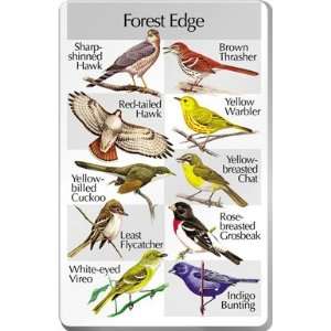  IdentiFlyer Song Card   Forest Edge Birds Toys & Games
