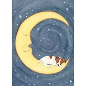  Jack Russell terrier (JRT) sleeping on moon / Lynch folk 