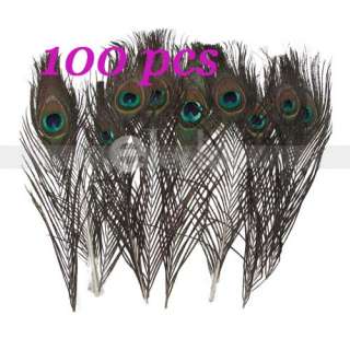 100Pcs FEATHER PEACOCK TAILS 10 12 Tail Feathers Deco  