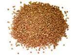 Granular Sulfate of Potash 0 0 50 Fertilizer 2 Pounds  