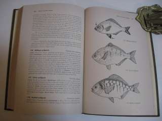 1954 HOW TO FISH THE PACIFIC COAST   MANUAL ILLUSTRATED  