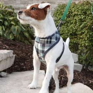  Small dog Harness, Madras, Large
