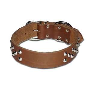   collar (Size 19)   Color Brown (Catalog Category Dog / Collars