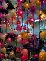 1000 SKELETON LEAF ideas for using old christmas light  