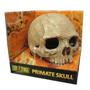  Exo Terra Terrarium Primate Skull   Primate Skull Pet 