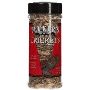  Freeze Dried Crickets (Quantity of 3) Health & Personal 