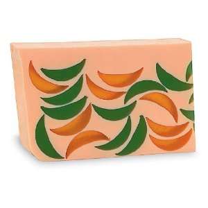   Elements Orange Cantaloupe 6.5 Oz. Handmade Glycerin Bar Soap Beauty