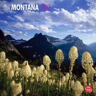 Wild & Scenic Montana 2012 Wall Calendar  