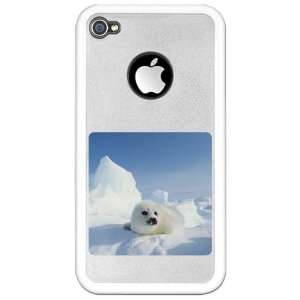  iPhone 4 or 4S Clear Case White Harp Seal 
