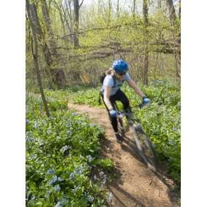 Woman Mountain Biker Blur with Flowers on Singletrack Trail Stretched 